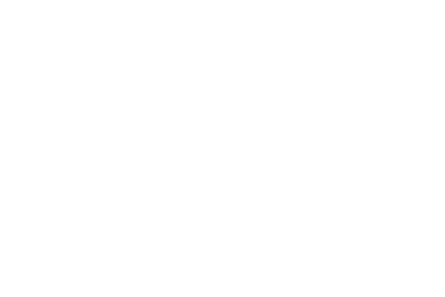 Biblias Holman